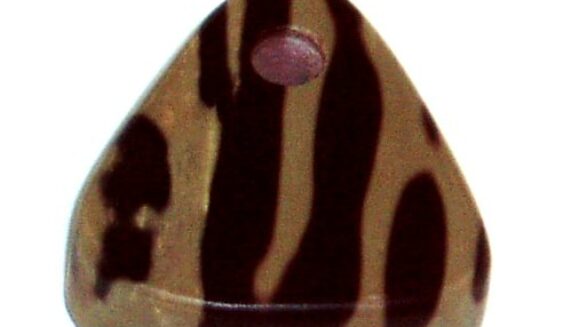 zebra-stone2